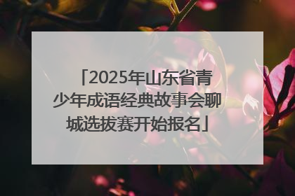 2025年山东省青少年成语经典故事会聊城选拔赛开始报名