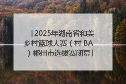 2025年湖南省和美乡村篮球大赛（村 BA）郴州市选拔赛闭幕