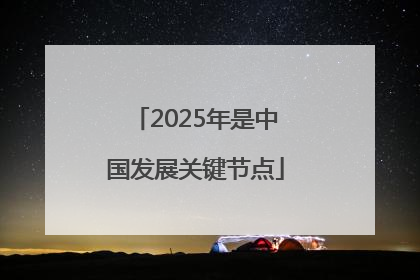 2025年是中国发展关键节点