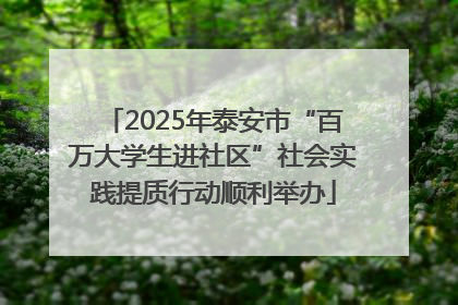 2025年泰安市“百万大学生进社区”社会实践提质行动顺利举办