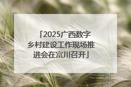 2025广西数字乡村建设工作现场推进会在富川召开