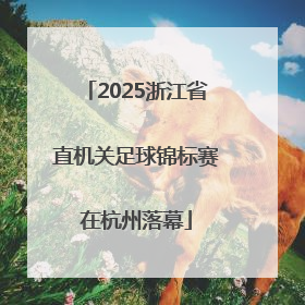 2025浙江省直机关足球锦标赛在杭州落幕