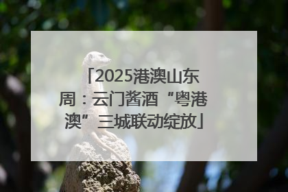 2025港澳山东周：云门酱酒“粤港澳”三城联动绽放