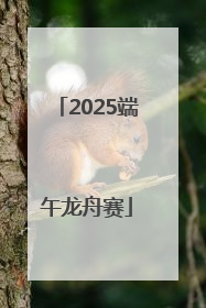2025端午龙舟赛