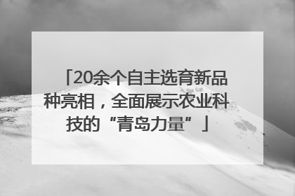 20余个自主选育新品种亮相，全面展示农业科技的“青岛力量”