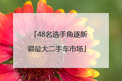 48名选手角逐新疆最大二手车市场