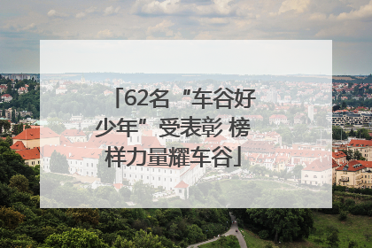 62名“车谷好少年”受表彰 榜样力量耀车谷