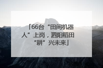 66台“田间机器人”上岗，泗阳稻田“耕”兴未来