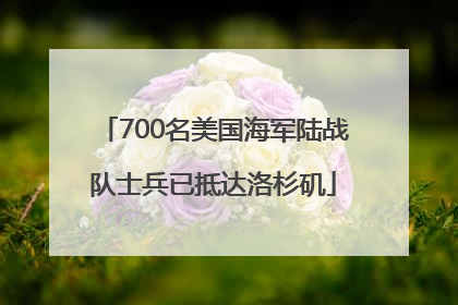 700名美国海军陆战队士兵已抵达洛杉矶