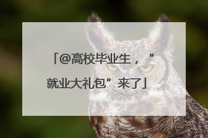 @高校毕业生，“就业大礼包”来了