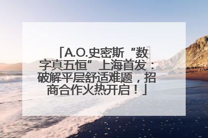 A.O.史密斯“数字真五恒”上海首发：破解平层舒适难题，招商合作火热开启！