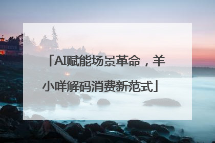 AI赋能场景革命，羊小咩解码消费新范式