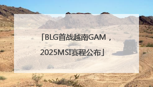 BLG首战越南GAM，2025MSI赛程公布