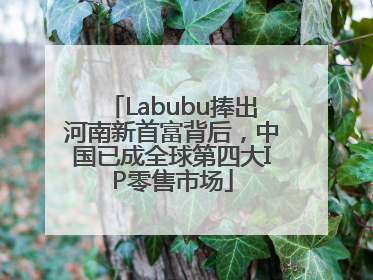 Labubu捧出河南新首富背后，中国已成全球第四大IP零售市场