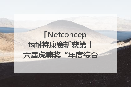 Netconcepts耐特康赛斩获第十六届虎啸奖“年度综合服务商”大奖