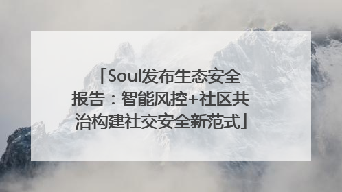 Soul发布生态安全报告：智能风控+社区共治构建社交安全新范式