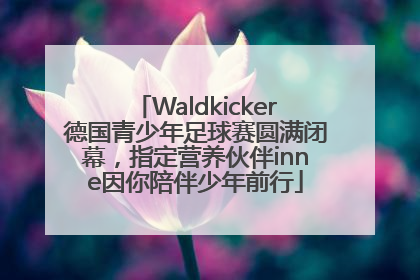 Waldkicker德国青少年足球赛圆满闭幕，指定营养伙伴inne因你陪伴少年前行
